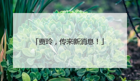 贾玲，传来新消息！