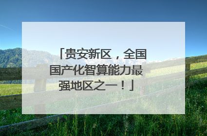 贵安新区，全国国产化智算能力最强地区之一！