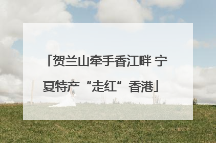贺兰山牵手香江畔 宁夏特产“走红”香港