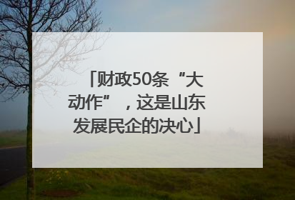 财政50条“大动作”，这是山东发展民企的决心