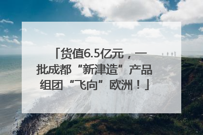 货值6.5亿元，一批成都“新津造”产品组团“飞向”欧洲！