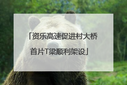 资乐高速促进村大桥首片T梁顺利架设