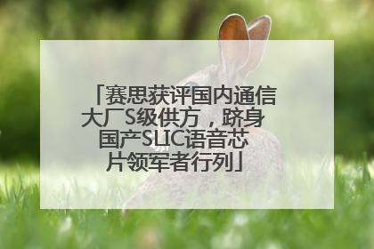 赛思获评国内通信大厂S级供方，跻身国产SLIC语音芯片领军者行列