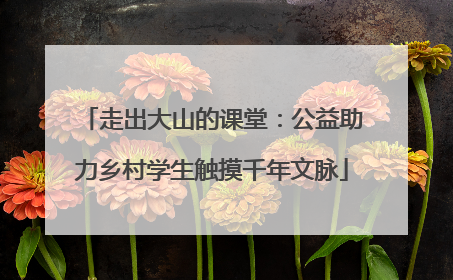 走出大山的课堂：公益助力乡村学生触摸千年文脉