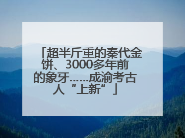 超半斤重的秦代金饼、3000多年前的象牙……成渝考古人“上新”