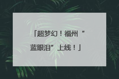 超梦幻！福州“蓝眼泪”上线！