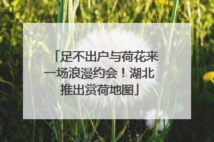 足不出户与荷花来一场浪漫约会！湖北推出赏荷地图