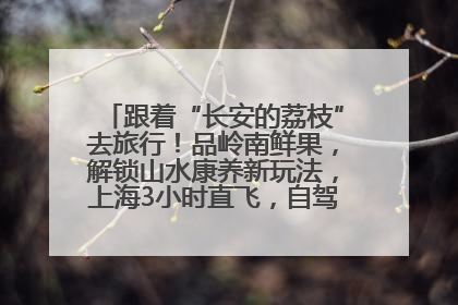 跟着“长安的荔枝”去旅行！品岭南鲜果，解锁山水康养新玩法，上海3小时直飞，自驾高速费优惠