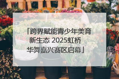 跨界赋能青少年美育新生态 2025虹桥华舞嘉兴赛区启幕