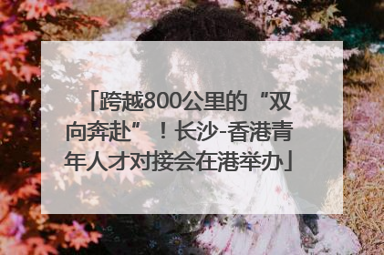 跨越800公里的“双向奔赴”！长沙-香港青年人才对接会在港举办