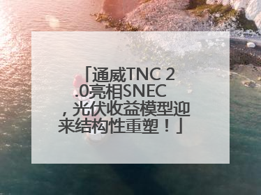 通威TNC 2.0亮相SNEC，光伏收益模型迎来结构性重塑！