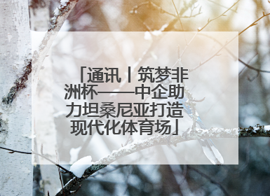 通讯丨筑梦非洲杯——中企助力坦桑尼亚打造现代化体育场