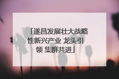 遂昌发展壮大战略性新兴产业 龙头引领 集群共进