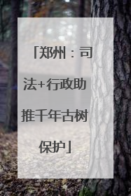 郑州：司法+行政助推千年古树保护