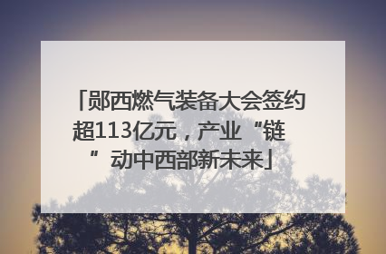 郧西燃气装备大会签约超113亿元，产业“链”动中西部新未来