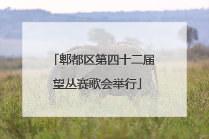 郫都区第四十二届望丛赛歌会举行