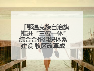 鄂温克族自治旗推进“三位一体”综合合作组织体系建设 牧区改革成果丰硕