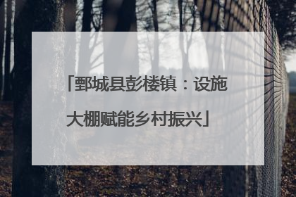 鄄城县彭楼镇：设施大棚赋能乡村振兴
