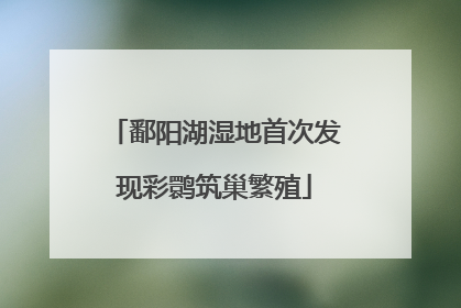 鄱阳湖湿地首次发现彩鹮筑巢繁殖