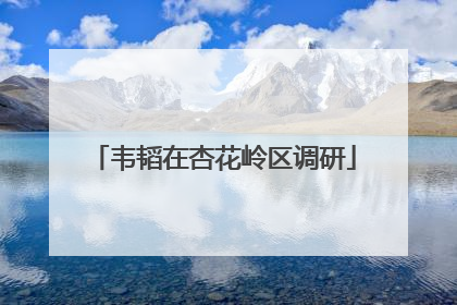 韦韬在杏花岭区调研
