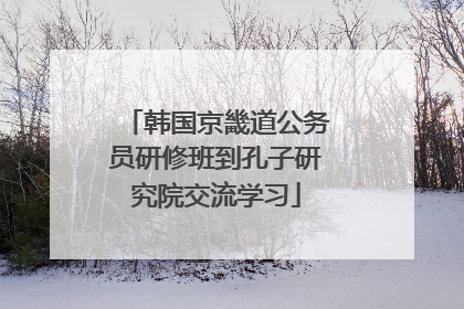 韩国京畿道公务员研修班到孔子研究院交流学习