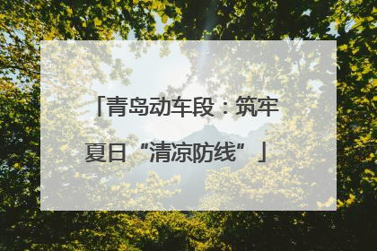 青岛动车段：筑牢夏日“清凉防线”