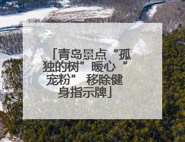 青岛景点“孤独的树”暖心“宠粉” 移除健身指示牌