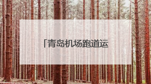 青岛机场跑道运行再提速 相关平行仪表进近试验开启“双倍效能”