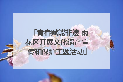 青春赋能非遗 雨花区开展文化遗产宣传和保护主题活动