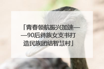 青春领航振兴加速——90后彝族女支书打造民族团结智慧村