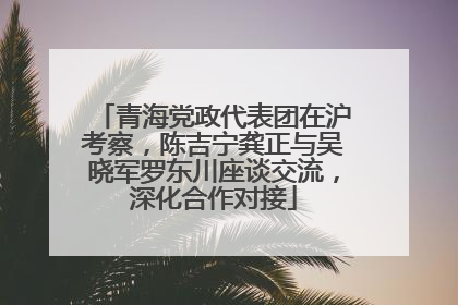青海党政代表团在沪考察，陈吉宁龚正与吴晓军罗东川座谈交流，深化合作对接