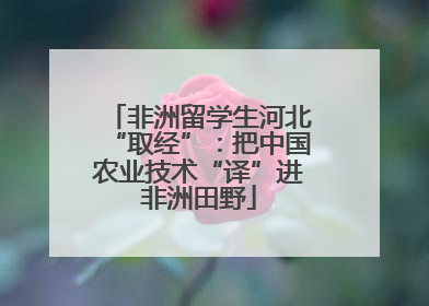 非洲留学生河北“取经”：把中国农业技术“译”进非洲田野