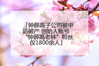 钟薛高子公司被申请破产 创始人账号“钟薛高老林”粉丝仅1800余人