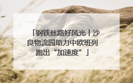钢铁丝路好风光丨沙良物流园助力中欧班列跑出“加速度”
