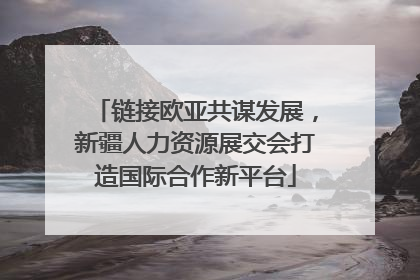 链接欧亚共谋发展，新疆人力资源展交会打造国际合作新平台