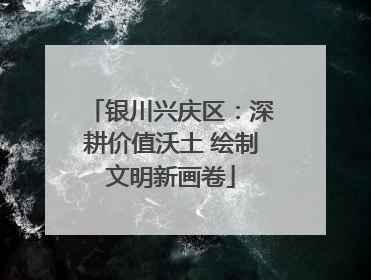 银川兴庆区：深耕价值沃土 绘制文明新画卷