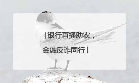 银行直播助农，金融反诈同行