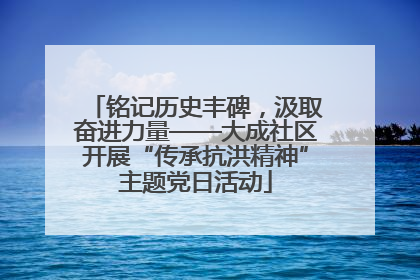 铭记历史丰碑，汲取奋进力量——大成社区开展“传承抗洪精神”主题党日活动
