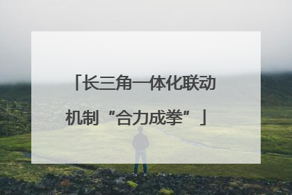长三角一体化联动机制“合力成拳”