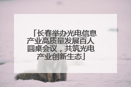 长春举办光电信息产业高质量发展百人圆桌会议，共筑光电产业创新生态