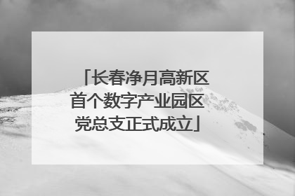 长春净月高新区首个数字产业园区党总支正式成立