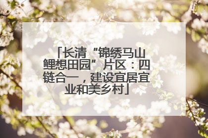 长清“锦绣马山 鲤想田园”片区：四链合一，建设宜居宜业和美乡村