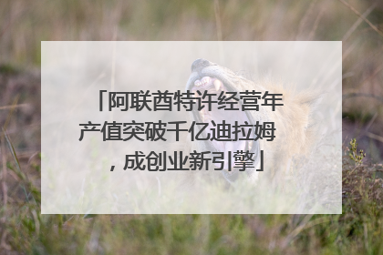 阿联酋特许经营年产值突破千亿迪拉姆，成创业新引擎