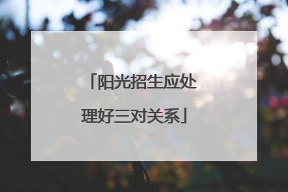 阳光招生应处理好三对关系
