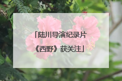 陆川导演纪录片《西野》获关注
