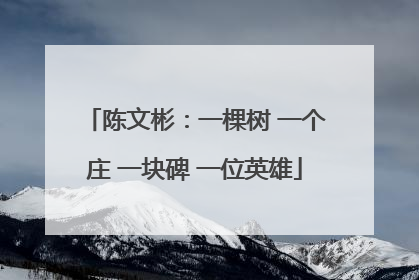 陈文彬：一棵树 一个庄 一块碑 一位英雄
