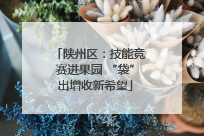 陕州区：技能竞赛进果园 “袋”出增收新希望