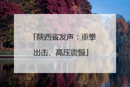陕西省发声：重拳出击、高压震慑