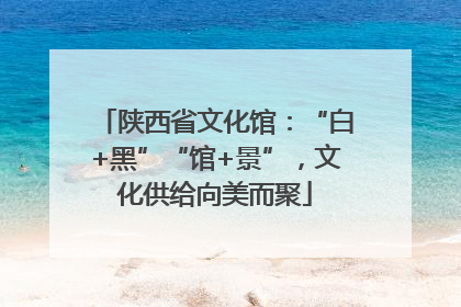 陕西省文化馆：“白+黑”“馆+景”，文化供给向美而聚