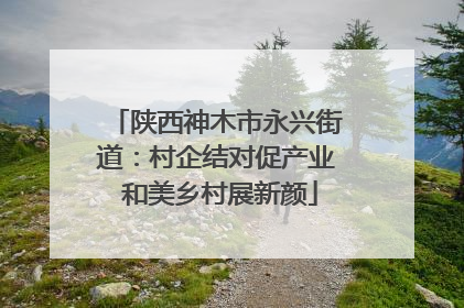 陕西神木市永兴街道：村企结对促产业 和美乡村展新颜